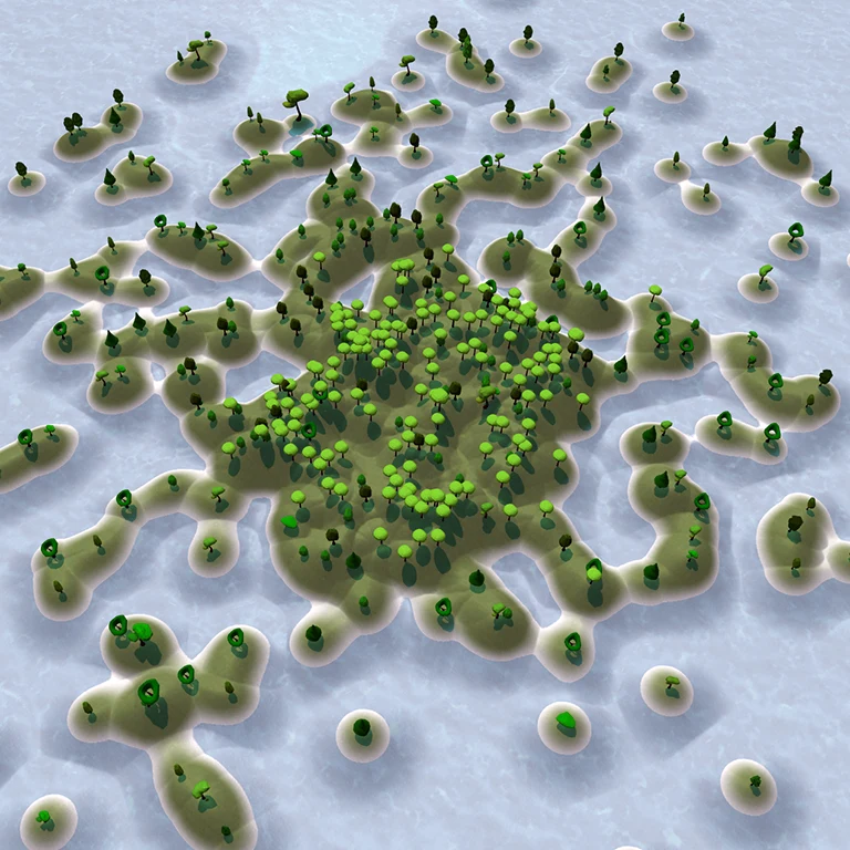 Thumbnail of Software Forest: A Visualization of Semantic Similarities in Source Code using a Tree Metaphor (in context of the Master`s Project)